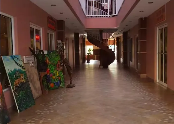 Paradise Single ,double & Queen Single With Bathroom & Pool * San Pedro (Ambergris Caye)
